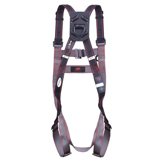 Picture of Pioneer™ 2-Point Harness