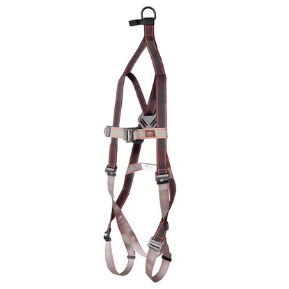 Show details for Pioneer™ 2-Point Rescue Harness