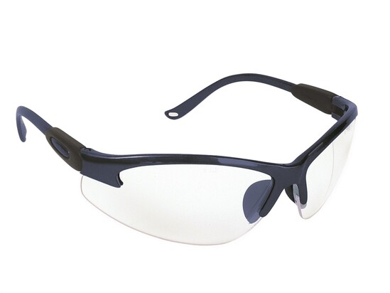 Aquarius Safety Spectacle