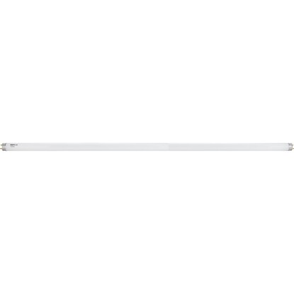 Show details for Fluorescent Tube - 5Ft