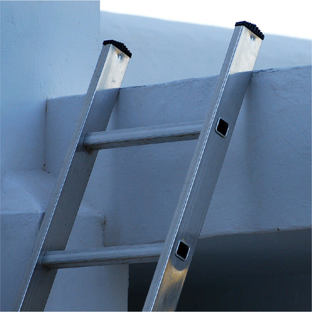 Picture for category Ladders & Steps