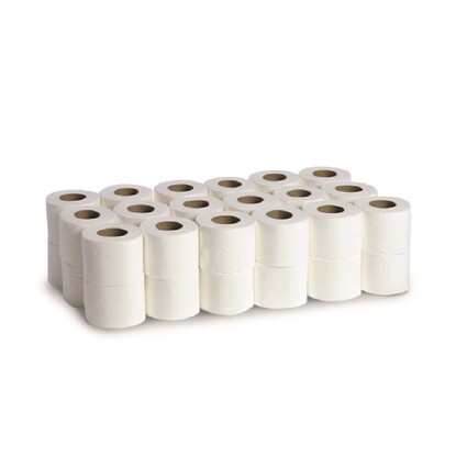 Bulk Pack Toilet Tissue - 2 Ply