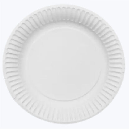 Paper Plate 9" (22.9cm) - 1000 Pieces