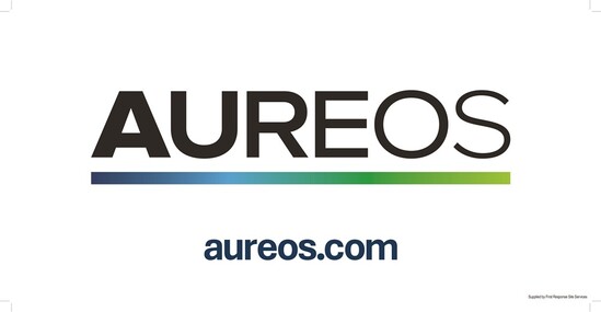Picture of Aureos 600mm X 300mm
