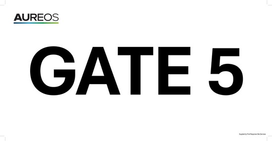 Picture of Gate 5 600mm x 300mm