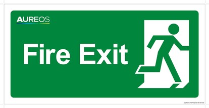 Show details for Fire Exit 600mm X 300mm Photoluminescent 
