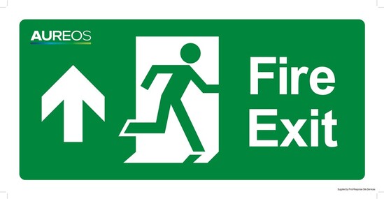 Picture of Fire Exit (Up Arrow) 600mm X 300mm Photoluminescent