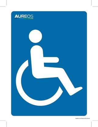 Show details for Disability badge 150mm X 200mm