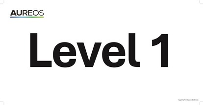Show details for Level 1 600mm X 300mm