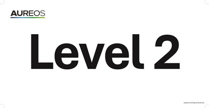 Show details for Level 2 600mm X 300mm