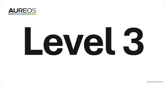 Picture of Level 3 600mm X 300mm