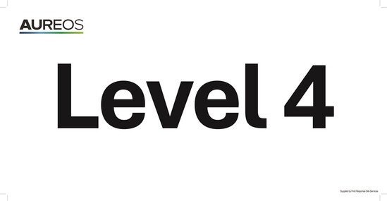Picture of Level 4 600mm X 300mm
