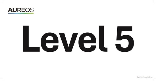 Picture of Level 5 600mm X 300mm