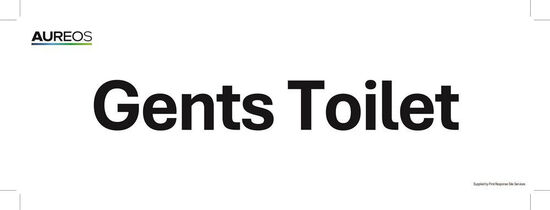 Picture of Gents Toilet 300mm X 100mm