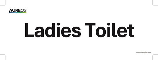 Picture of Female Toilet 300mm X 100mm